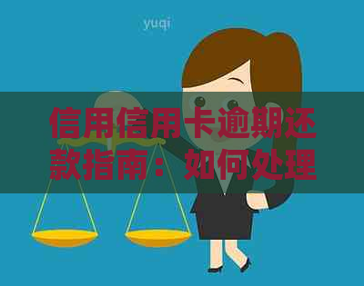 信用信用卡逾期还款指南：如何处理逾期问题并恢复信用