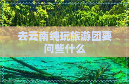 去云南纯玩旅游团要问些什么