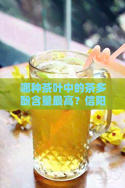 哪种茶叶中的茶多酚含量更高？信阳毛尖、普洱茶、大红袍还是其他茶叶？