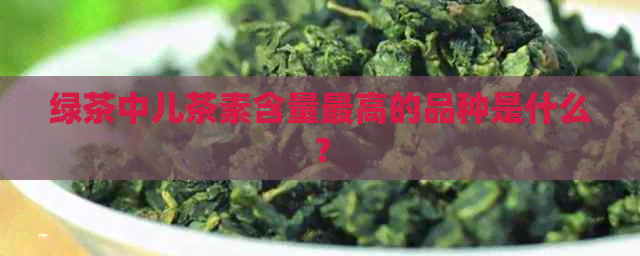 绿茶中儿茶素含量更高的品种是什么？