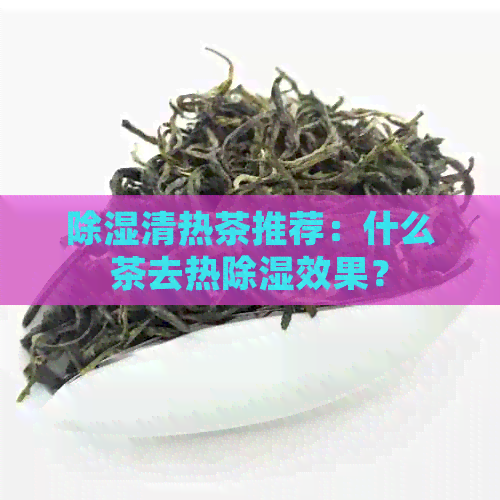 除湿清热茶推荐：什么茶去热除湿效果？