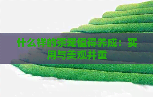 什么样的茶宠值得养成：实用与美观并重