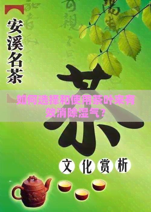 如何选择和使用茶叶来有效消除湿气？