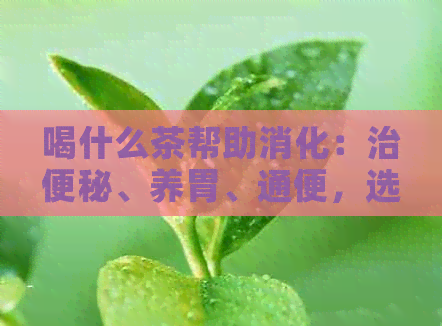 喝什么茶帮助消化：治便秘、养胃、通便，选择这些茶！