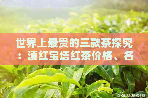 世界上最贵的三款茶探究：滇红宝塔红茶价格、名称及全球最贵茶叶盘点。