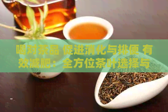 喝对茶品 促进消化与排便 有效减肥：全方位茶叶选择与饮用指南