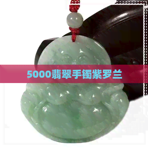 5000翡翠手镯紫罗兰