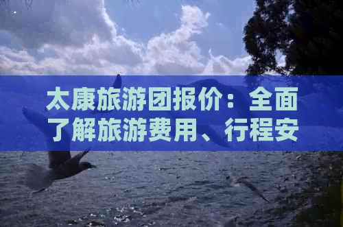 太康旅游团报价：全面了解旅游费用、行程安排和优惠政策，轻松规划完美旅行