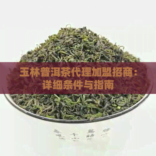 玉林普洱茶代理加盟招商：详细条件与指南