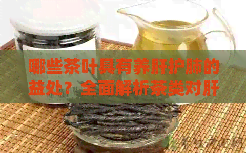 哪些茶叶具有养肝护肺的益处？全面解析茶类对肝脏和肺部健的影响