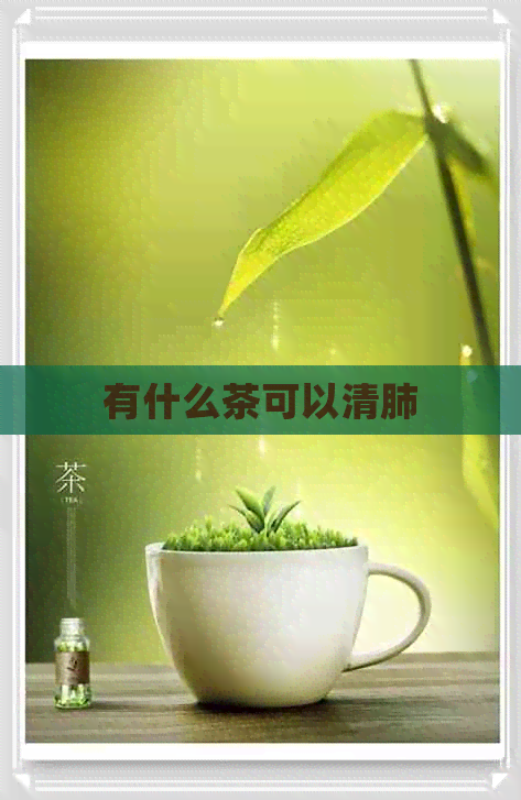 有什么茶可以清肺