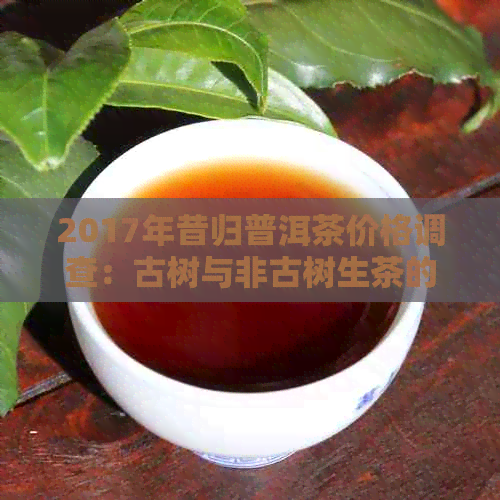 2017年昔归普洱茶价格调查：古树与非古树生茶的对比分析