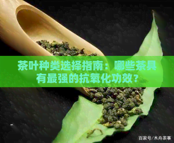 茶叶种类选择指南：哪些茶具有最强的抗氧化功效？