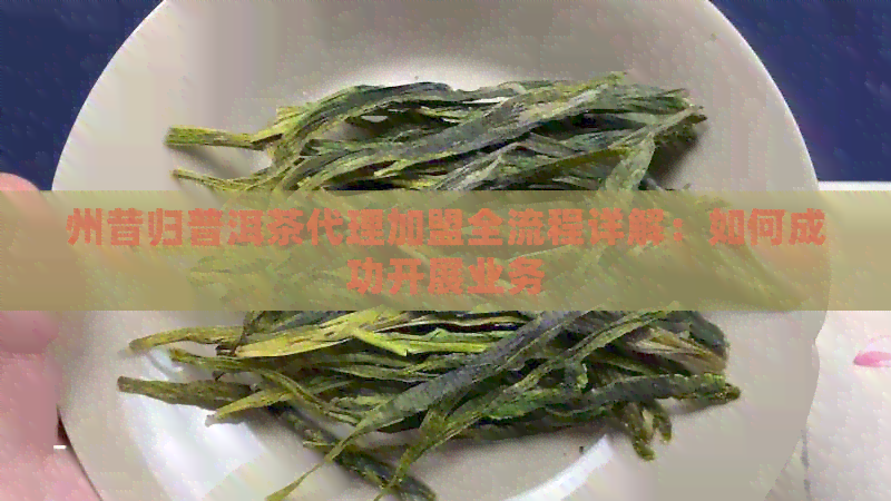 州昔归普洱茶代理加盟全流程详解：如何成功开展业务