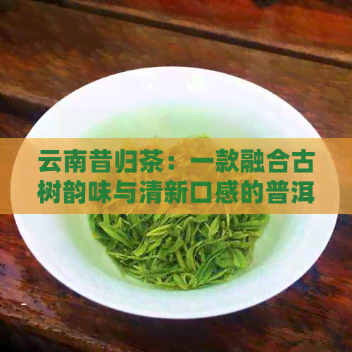 云南昔归茶：一款融合古树韵味与清新口感的普洱茶新体验