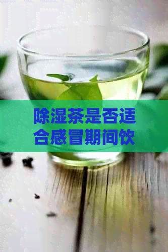 除湿茶是否适合感冒期间饮用？探秘茶饮与感冒的关系