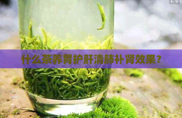 什么茶养胃护肝清肺补肾效果？