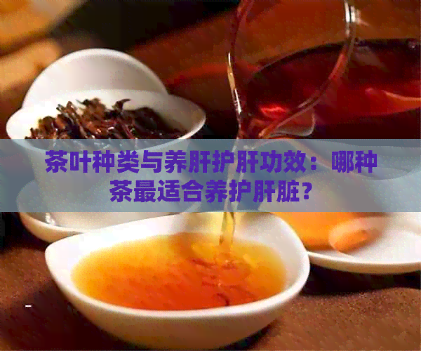 茶叶种类与养肝护肝功效：哪种茶最适合养护肝脏？