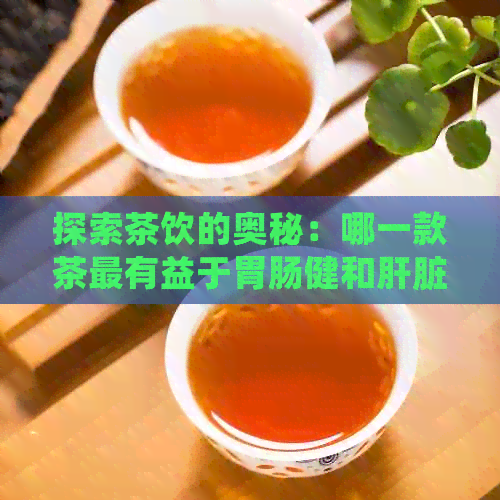 探索茶饮的奥秘：哪一款茶最有益于胃肠健和肝脏保养？