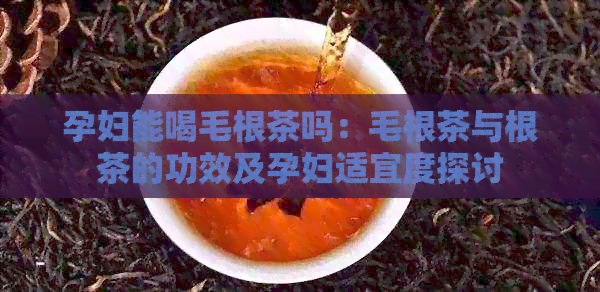 孕妇能喝毛根茶吗：毛根茶与根茶的功效及孕妇适宜度探讨