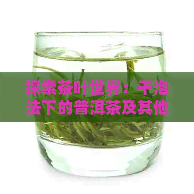 探索茶叶世界：干泡法下的普洱茶及其他佳饮选择