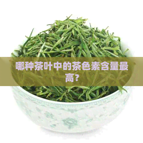 哪种茶叶中的茶色素含量更高？