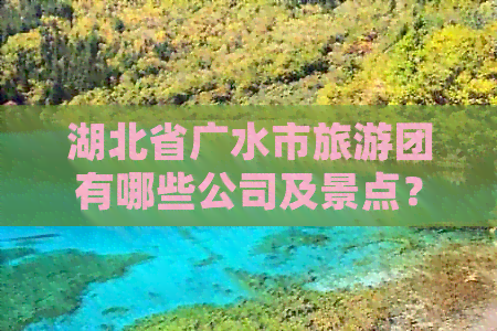 湖北省广水市旅游团有哪些公司及景点？