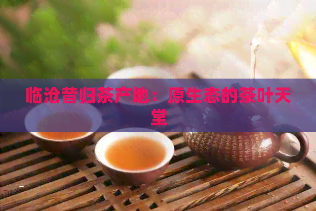 临沧昔归茶产地：原生态的茶叶天堂-普洱茶知识