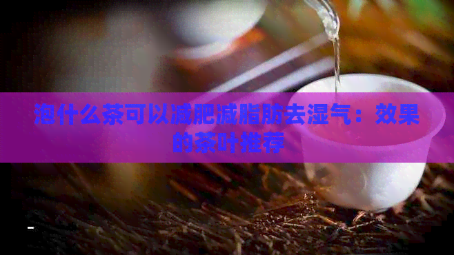 泡什么茶可以减肥减脂肪去湿气：效果的茶叶推荐