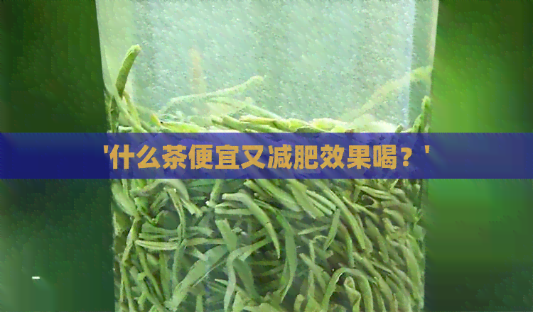 '什么茶便宜又减肥效果喝？'