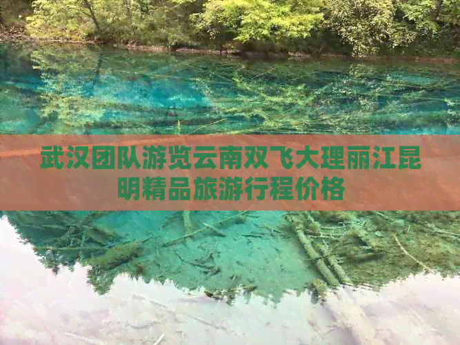 武汉团队游览云南双飞大理丽江昆明精品旅     程价格