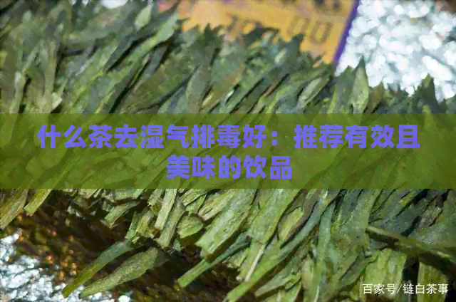 什么茶去湿气排好：推荐有效且美味的饮品