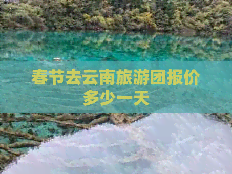 春节去云南旅游团报价多少一天