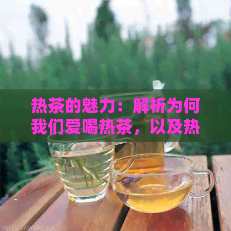 热茶的魅力：解析为何我们爱喝热茶，以及热茶对身心健的好处