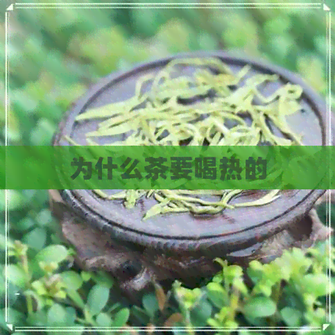 为什么茶要喝热的