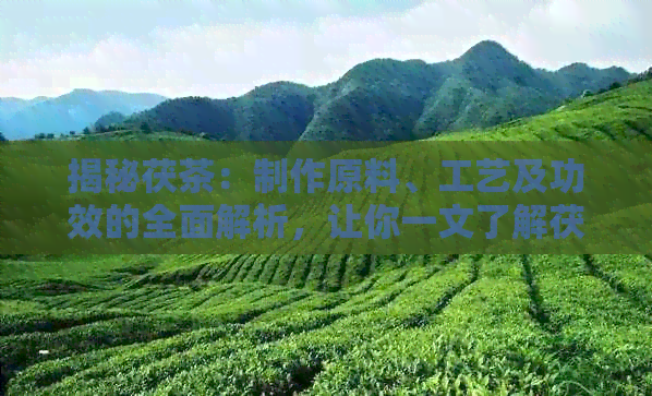 揭秘茯茶：制作原料、工艺及功效的全面解析，让你一文了解茯茶的所有信息！