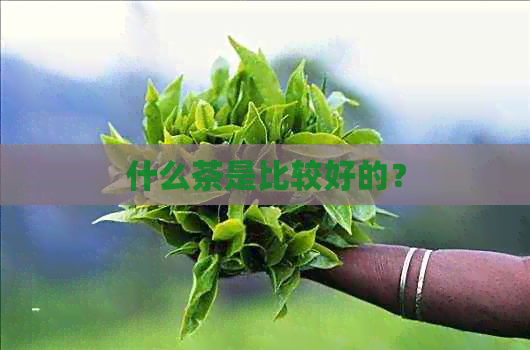 什么茶是比较好的？