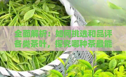 全面解析：如何挑选和品评各类茶叶，探究哪种茶最能满足您的口味？