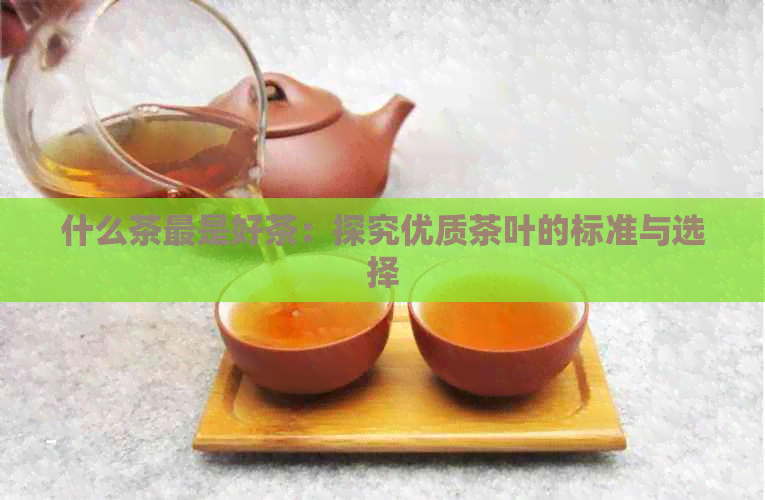 什么茶最是好茶：探究优质茶叶的标准与选择