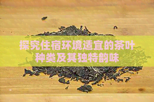 探究住宿环境适宜的茶叶种类及其独特韵味