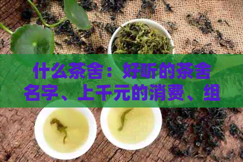 什么茶舍：好听的茶舍名字、上千元的消费、组词方法和茶厂信息