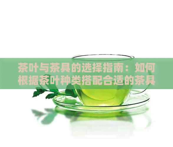 茶叶与茶具的选择指南：如何根据茶叶种类搭配合适的茶具