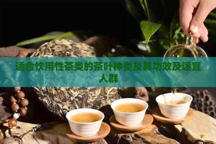 适合饮用性茶类的茶叶种类及其功效及适宜人群