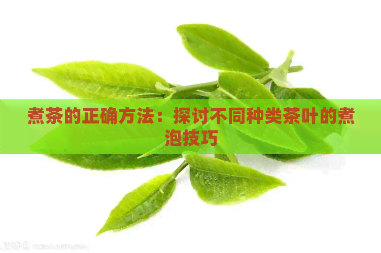 煮茶的正确方法：探讨不同种类茶叶的煮泡技巧