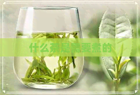 什么茶是需要煮的