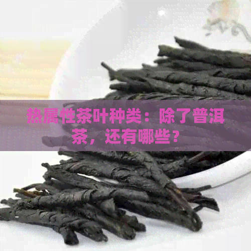 热属性茶叶种类：除了普洱茶，还有哪些？