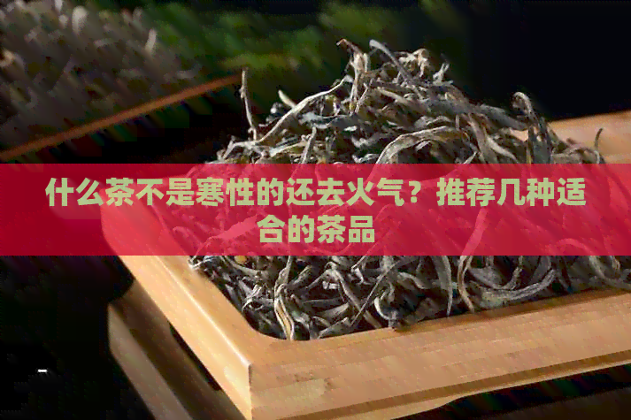 什么茶不是寒性的还去火气？推荐几种适合的茶品