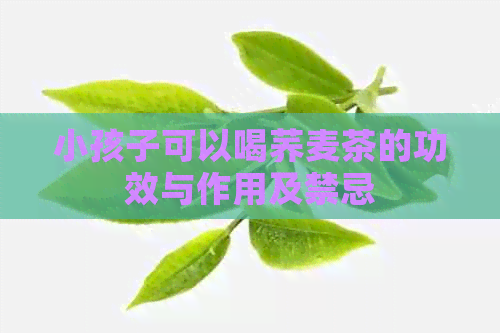 小孩子可以喝荞麦茶的功效与作用及禁忌