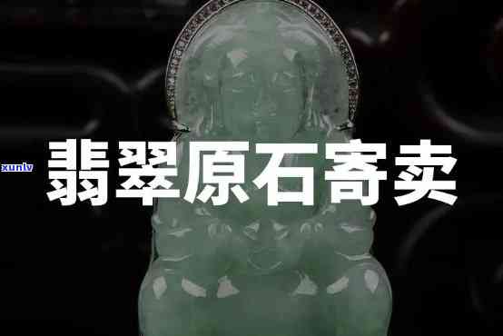 普洱茶中的维生素A含量及其对健的影响：一篇全面解析