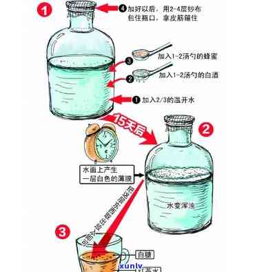 红茶菌如何养，详解红茶菌的养殖 *** 与技巧